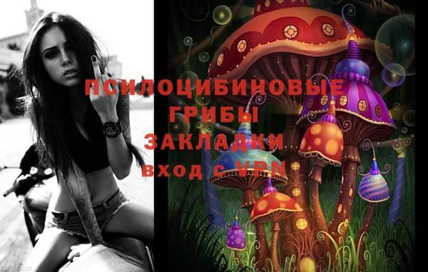 МДПВ Алзамай