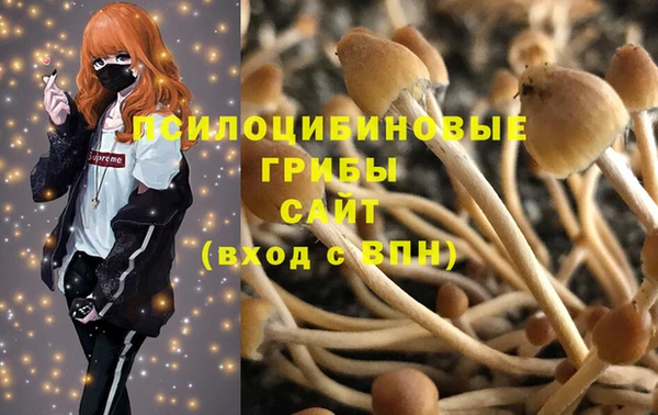 apvp Алексеевка