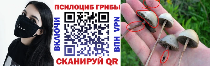 наркота  Харовск  Галлюциногенные грибы ЛСД 