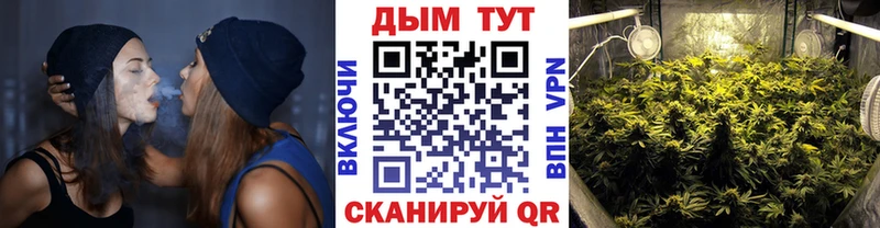 Бошки Шишки MAZAR  даркнет какой сайт  Харовск  дарнет шоп 